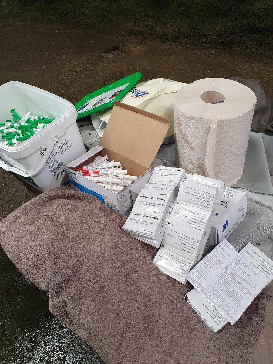 2pintpaddy's tweet photo. That time of the year again ๐๐๐๐, il dry off all the cows over the next few days.
#DryingOff https://t.co/nxi5Oh958q