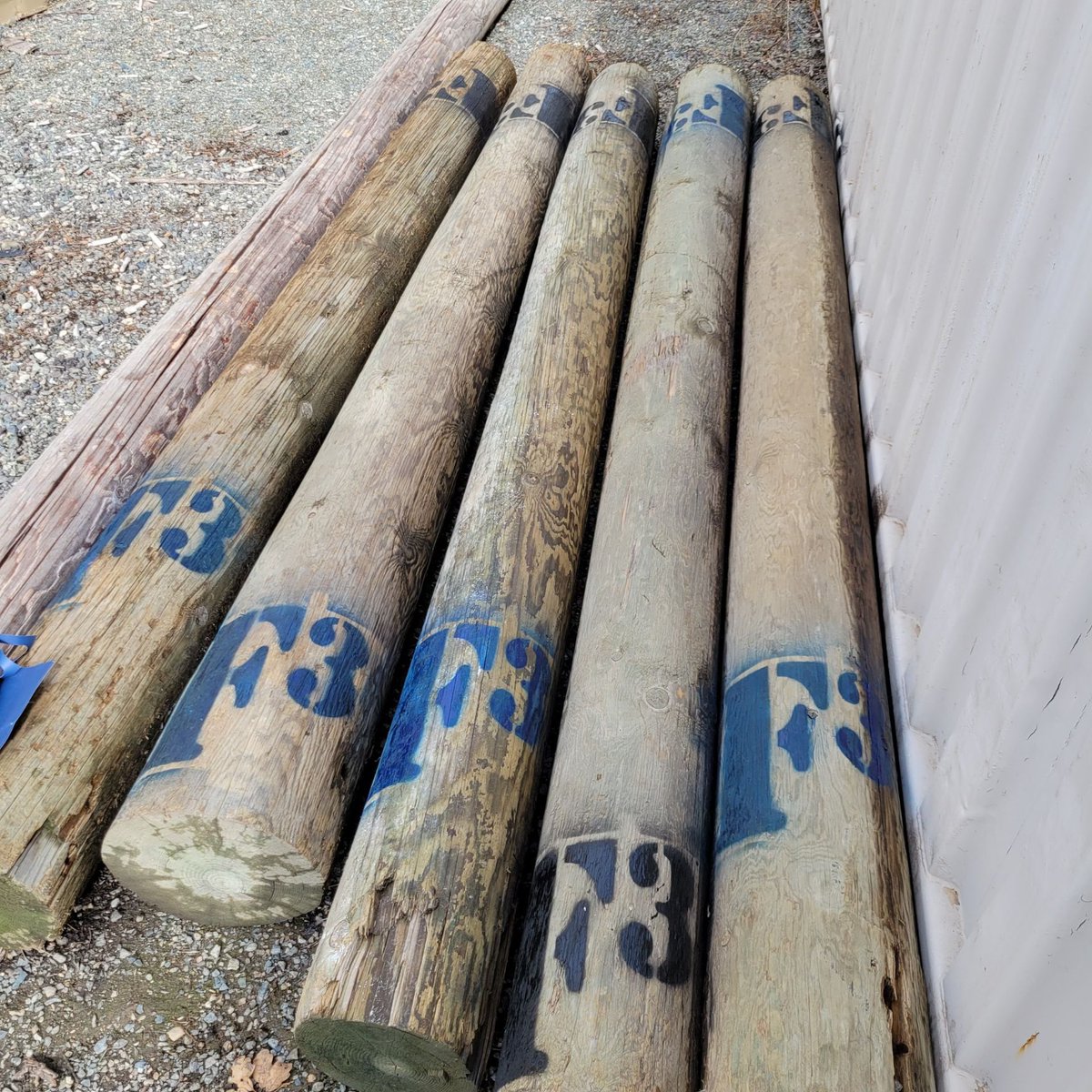 F3 Gold Rush (CA) tweet media