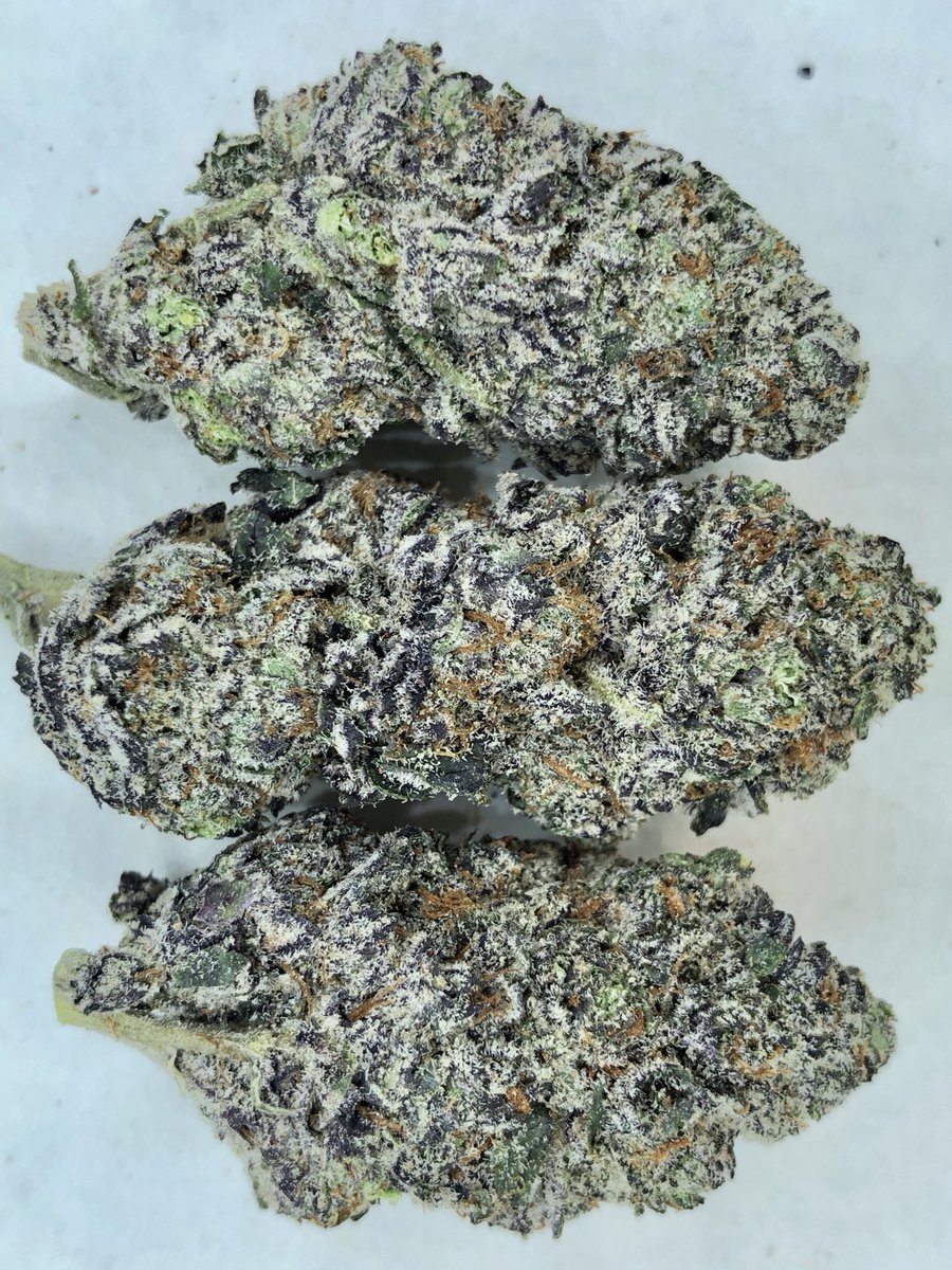 cannalukey's tweet photo. Cereal Milk 🥣🥛
Cookie Fam 🍪
#BreakfastBuds #CerealMilk #Cannabis #FrostyFriday https://t.co/3Pc9hnVdhu