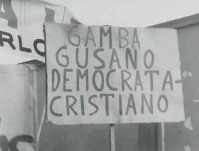 Falsomonti's tweet photo. @GAMBA_CL https://t.co/1JNquXtzeh
