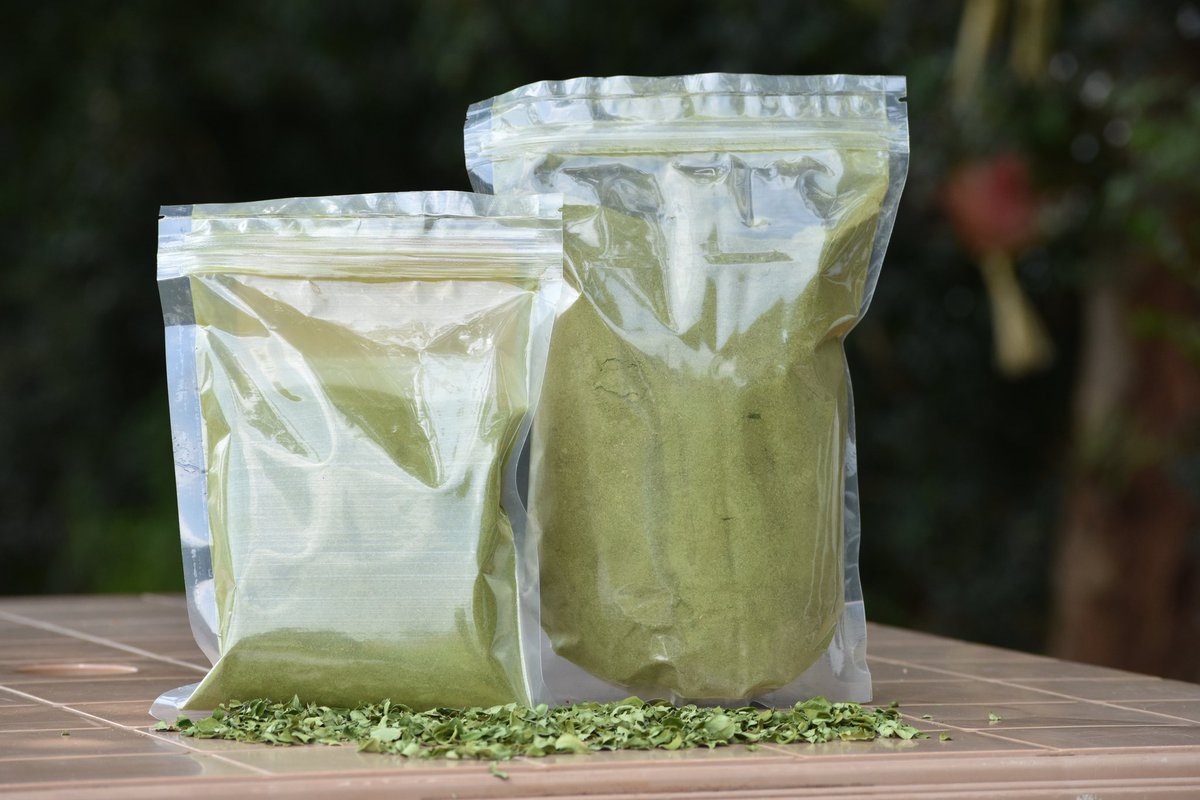rootsofthenile's tweet photo. Moringa leaf powder is not only nutritious to humans but also animals such as #pigs #dairy cattle, poultry #layers #broilers .....

👉Yellow yolks for layers 
👉Increased lactation in diary cattle &amp; farrowed sows/goats/sheep
⬆️increased body weight, carcass weight &amp;decreased fat https://t.co/qXk32Bo48L