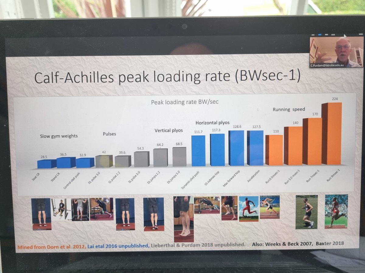 Achilles Tendons tweet media
