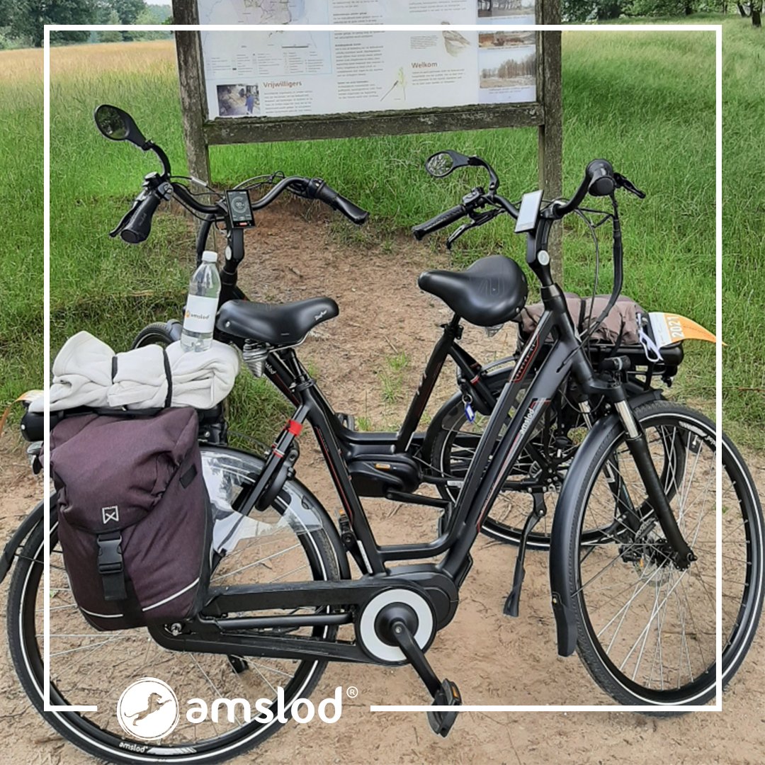 Amslod on Twitter: \