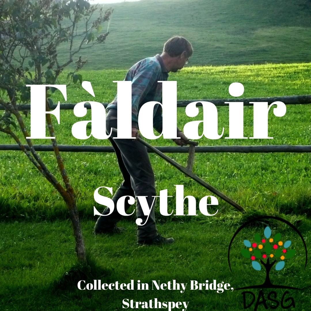 DASG_Glaschu's tweet photo. https://t.co/CsSVzHYG5b
⚒️
FÀLDAIR - SCYTHE
🌱
#fàldair #fàladair #speal #fàldaireachd #spealadh #scythe #scything #buain #harvest #soidh #feur #hay
⛏️
#ObarNeithich #NethyBridge #SrathSpè #Strathspey
#Gàidhlig #Gaelic
#DigitalArchiveofScottishGaelic #DASG https://t.co/PJVLKbFpj2