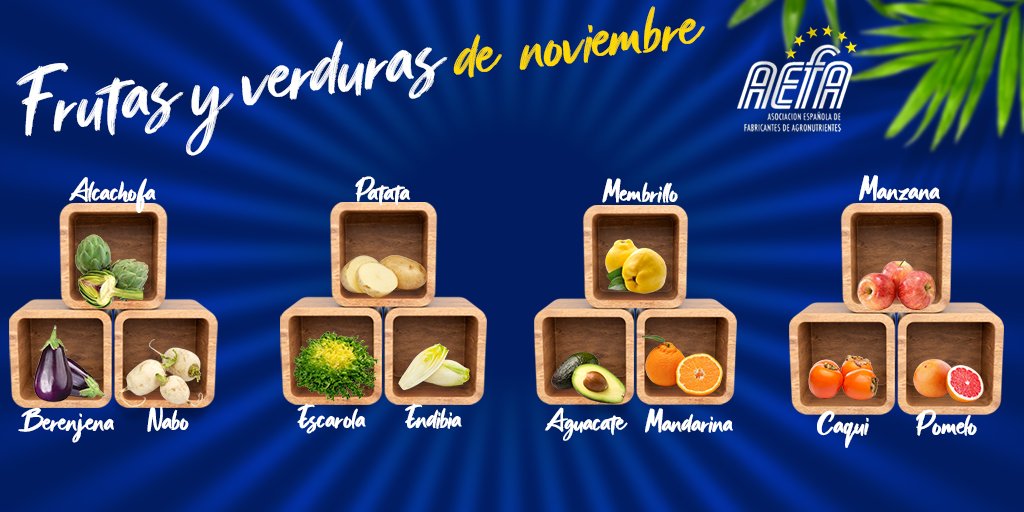 AefaAgro's tweet photo. Estas son las #frutas y #verduras de #noviembre. No olvides consumir #alimentos de temporada #AEFA #Agricultura https://t.co/KLDUzWB2aK