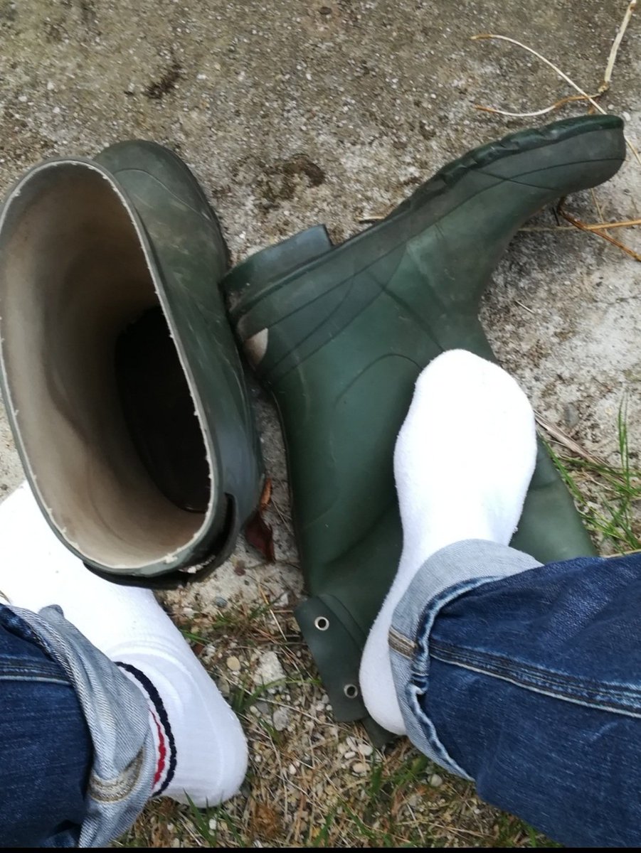 Oswald Bukowsky tweet media