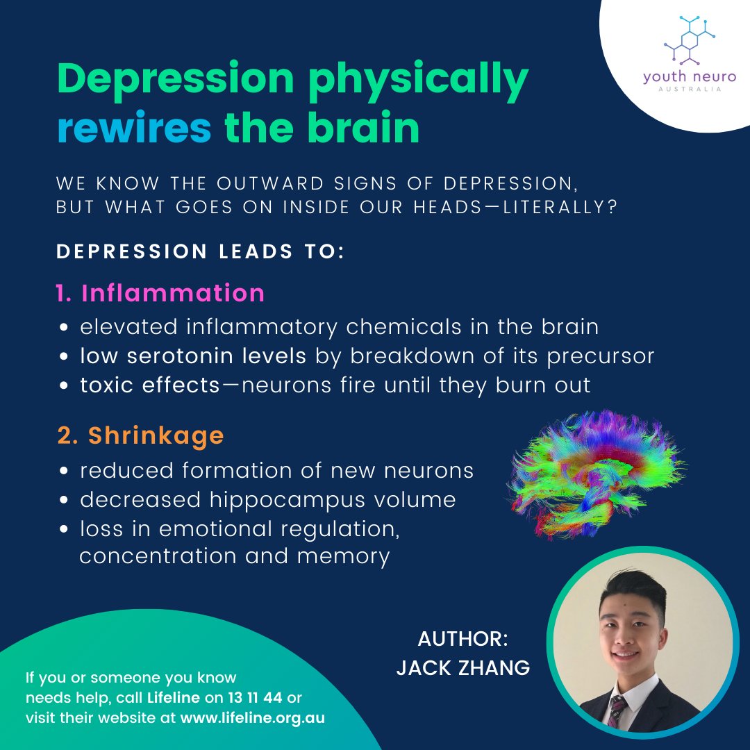 Have you ever wondered how mental illnesses can affect our brain? 🤔 Find out how depression can result in pathological ramifications through Jack's blog!

👉 yna.org.au/blog