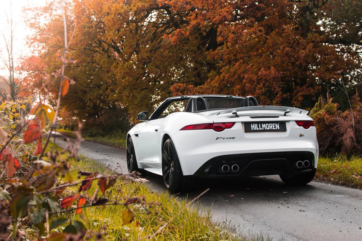 On the Prowl🐆 Out enjoying the V8 growl of our new Jaguar F-Type 5.0 S with just 10,000 miles on the clock🔥 Details on our website. #jaguar #luxury