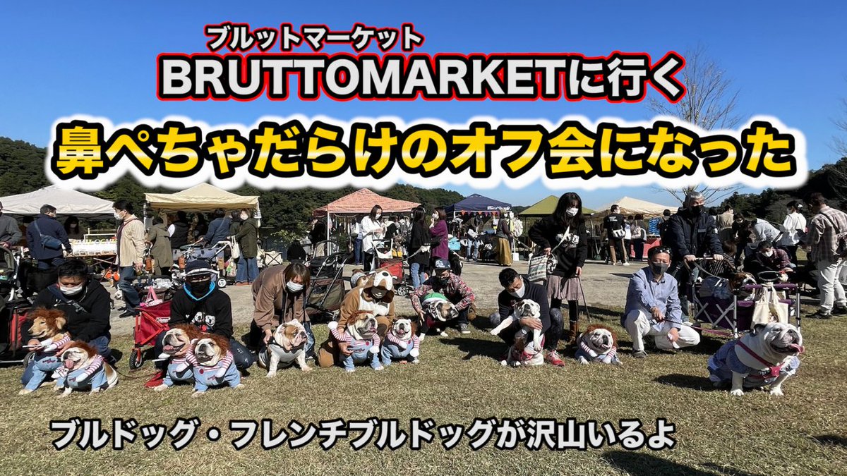 blair_1218's tweet photo. 犬『ブルドッグ』BRUTTOMARKETに行く！鼻ぺちゃだらけのオフ会になった！ https://t.co/7Qa3dNVbMM @YouTubeより 

2021年10月24日に開催されたイベントに参加した際の動画です！
たくさんのフレンチブルドッグとブルドッグが居て、オフ会みたいになりました❤️

#ブルドッグ
#犬との暮らし https://t.co/hCEwclEVap