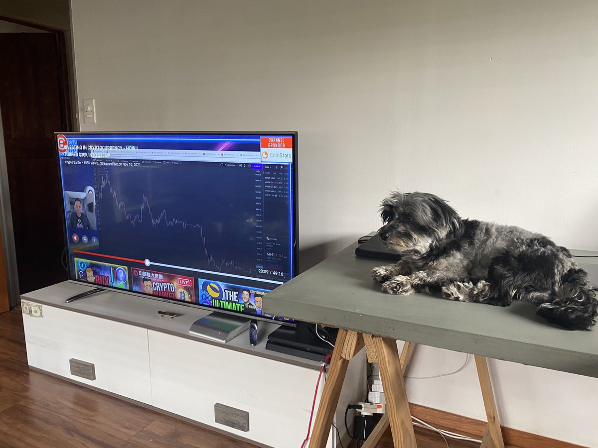 Morning banter with the boys. Peep Kobe 🐶 
<a href="/jadenbnuy/">jadennuyten</a> <a href="/crypto_banter/">Crypto Banter</a>
