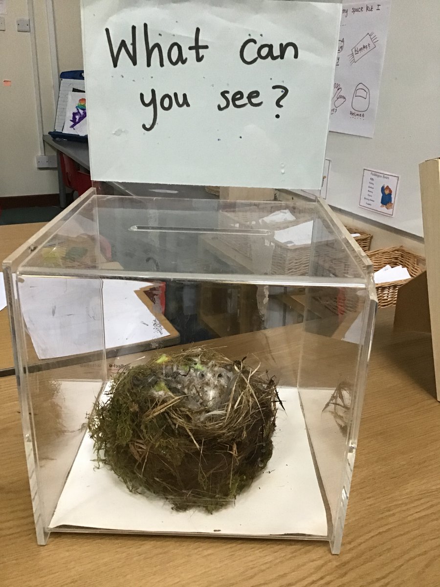 One of the children found a Nest in the park, they brought it in to Red Class to share...🐤🐦🦅🦉🐥