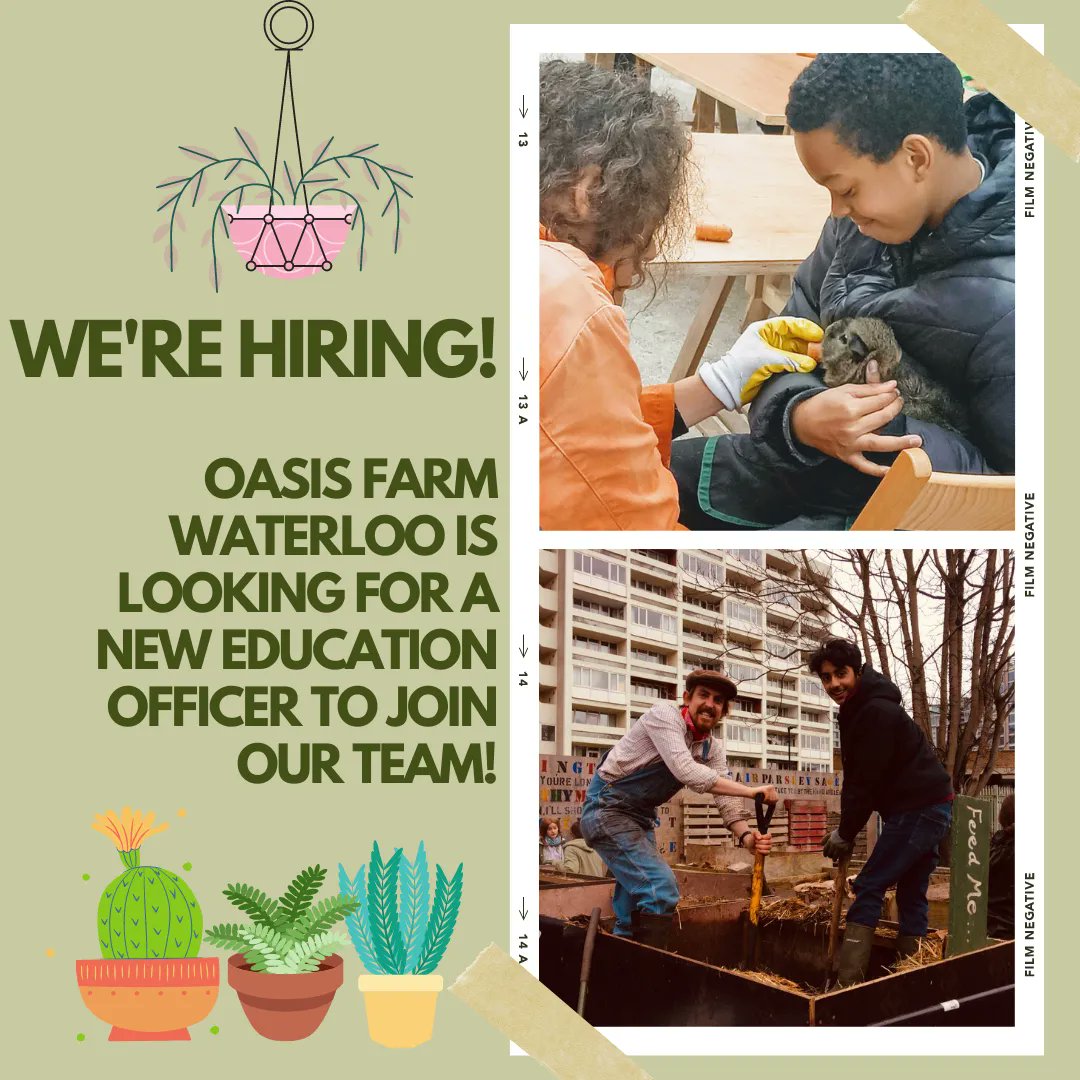 OasisFarmSE1's tweet photo. Our much loved Education Officer Jo is moving on to pastures new, so we're recruiting for a new member of our team. Follow this link for the application https://t.co/cuwehGZHth 

#werehiring #recruitment #education https://t.co/9KxV0o7b8R