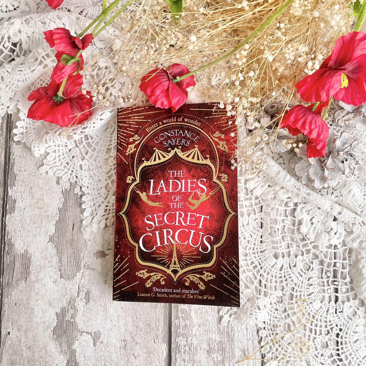 TwistedinPages's tweet photo. ✨New blog review ✨ #TheLadiesoftheSecretCircus by @constancesayers I absolutely loved it! Published 11 November 💫
Thank you @_FrancescaBanks @LittleBrownUK @PiatkusBooks for this wonderful proof.
https://t.co/fikRbg8eHH
#bookreview #giftedproof #bookblogger https://t.co/1qzSlWON4o