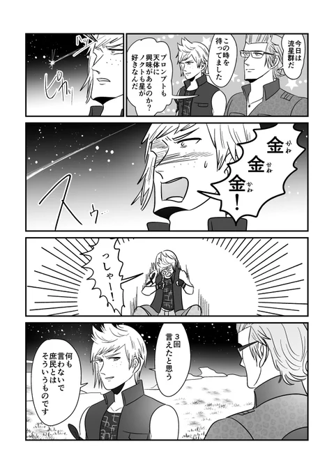 今夜は流星群があるそうですよ 