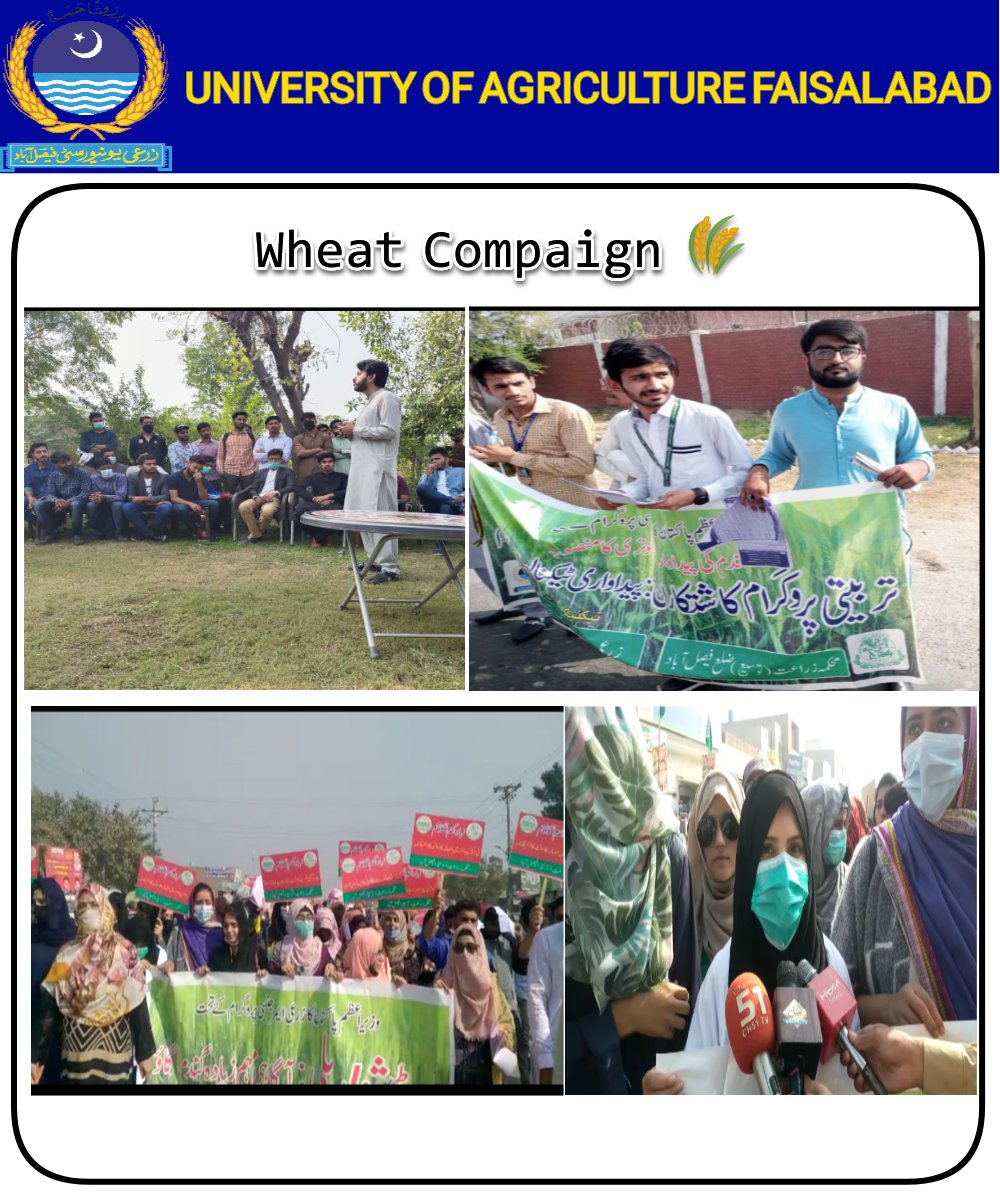 UniversityofAg2's tweet photo. Wheat Compaign 2021-22 https://t.co/46QVT7wCMy
