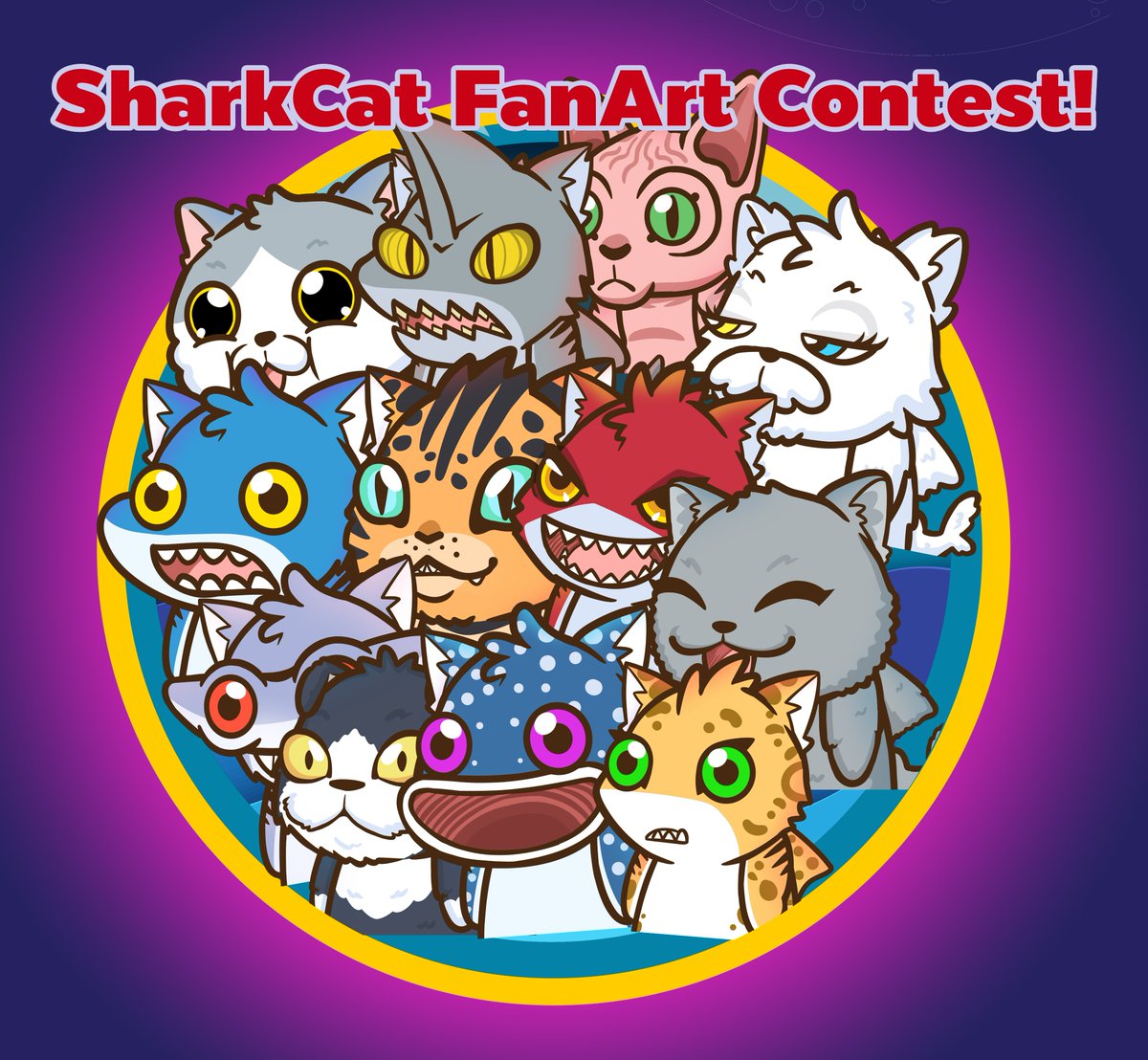 SharkCat Planet tweet media