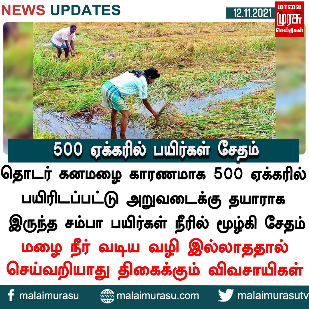 MalaimurasuTv's tweet photo. 500 ஏக்கரில் பயிர்கள் சேதம்
#paddycrops #destroyed #paddyfeild #farmingland #farmers #lose #Relief #flood #rain #heavyrain #chennairain #water #public #weather #forecast #weathernews #government #tnnews #tn #tamilnadunews #tngovernment #indianews #malaimurasu #MMTVnews https://t.co/Xm0Nz4vE0U
