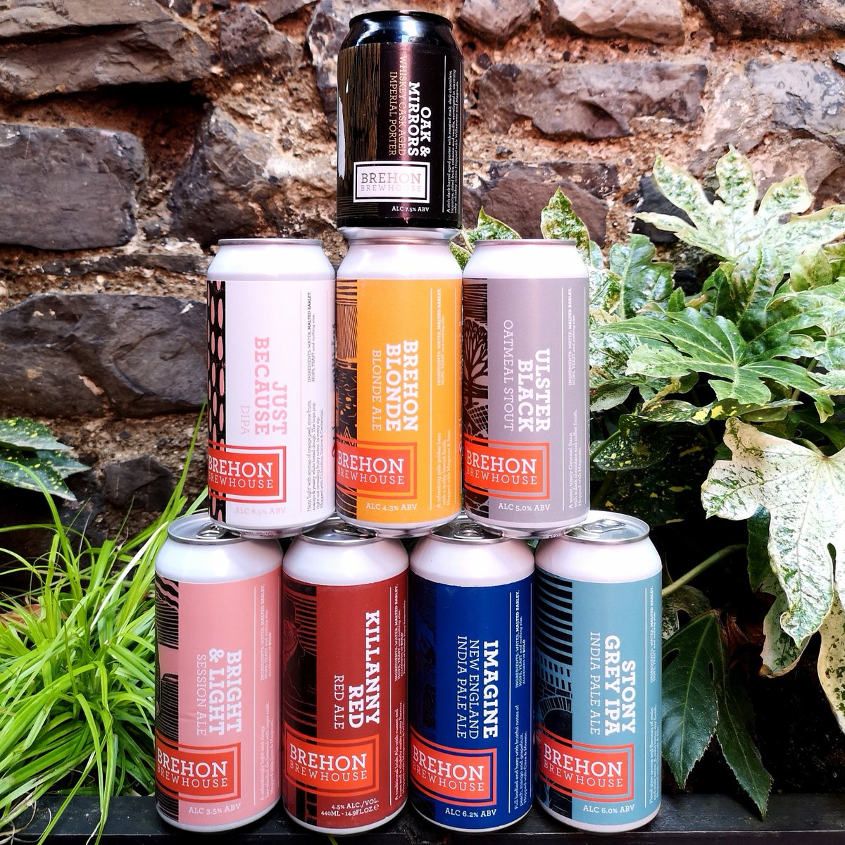 craftdirect's tweet photo. We're still undecided as to which of these amazing brews from @brehonblonde we're gonna crack open first after work.. Decisions decisions! 🤔🍻🍻

https://t.co/7xui68GKWR 

#craftbeerireland #irishcraftbeer #irishbrewery https://t.co/kB6Zdtrmn9
