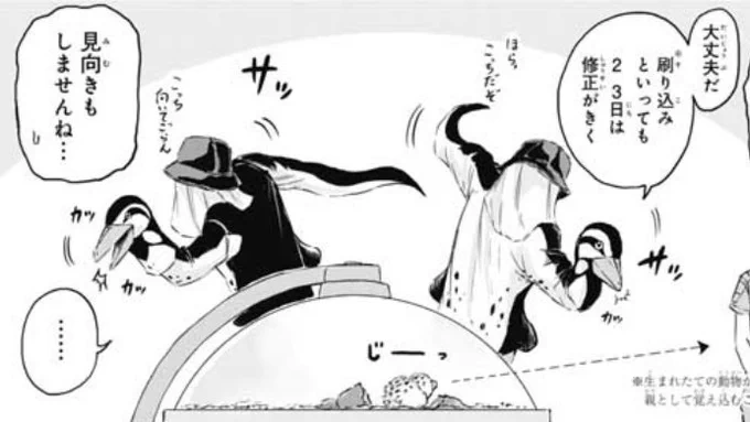 担当は普段は見れない海堂さんのひょうきん(?)な動きが見れるこののシーンがお気に入りです。