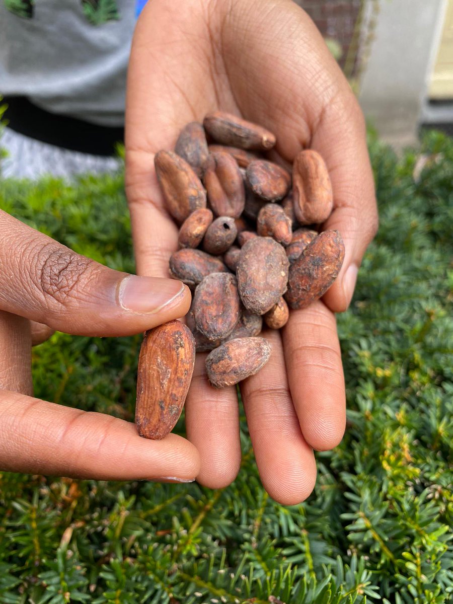 EuroAfriLink's tweet photo. Trading in the EU Market! Are you an #Africanexporter and want to export your product into the #EUmarket?  #Standardsmatter and is crucial in #Food &amp; its #safety. But what are these standards? @EuroAfriLink will assist you with this among others.👉info@euroafrilink.com #trade https://t.co/enkM2nT5EJ