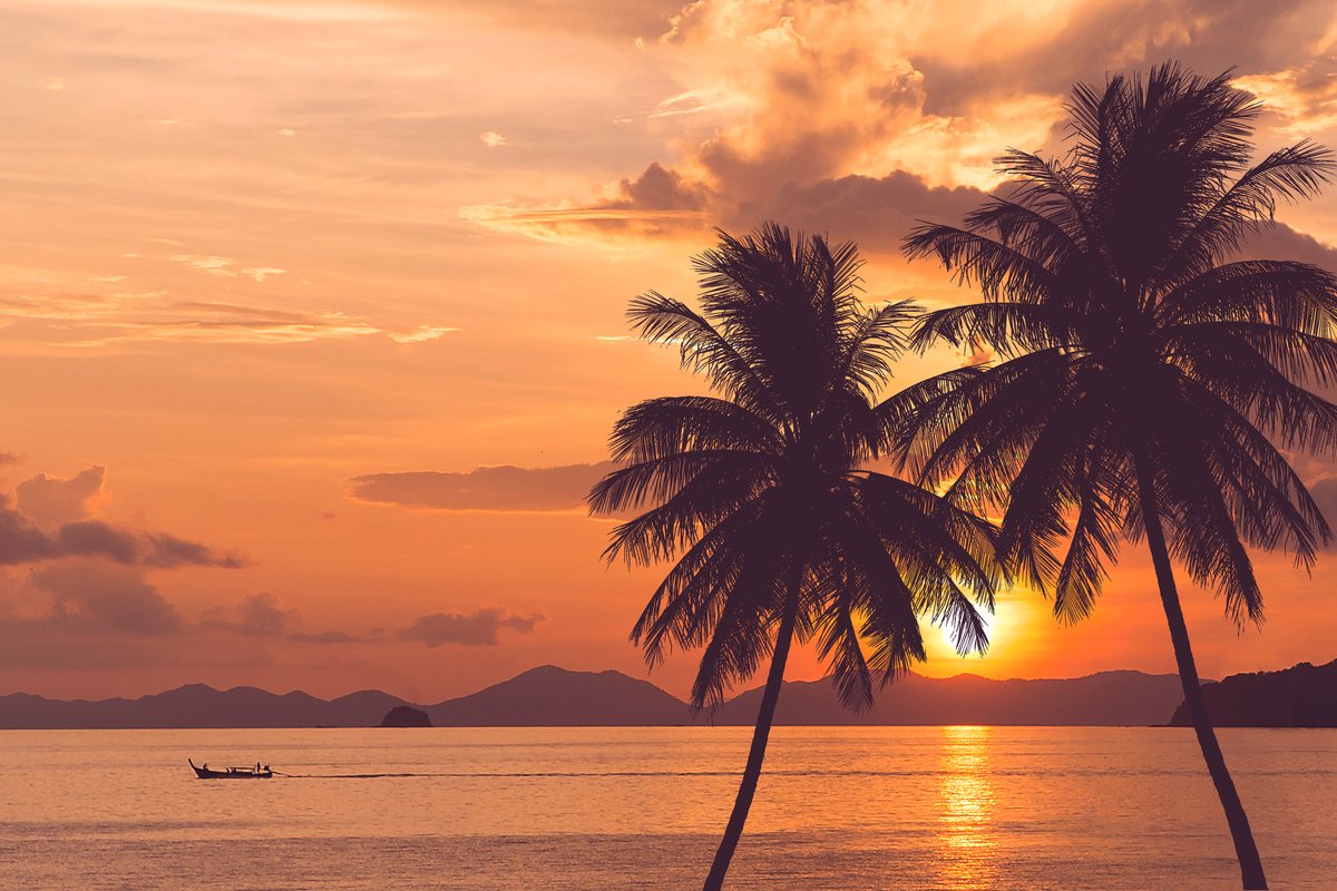 Commencer la semaine par un magnifique coucher de soleil face à la mer des #Caraïbes… Qui dit mieux ? 😍👌
 
📍Puna Cana, République Dominicaine

#republiquedominicaine #puntacana