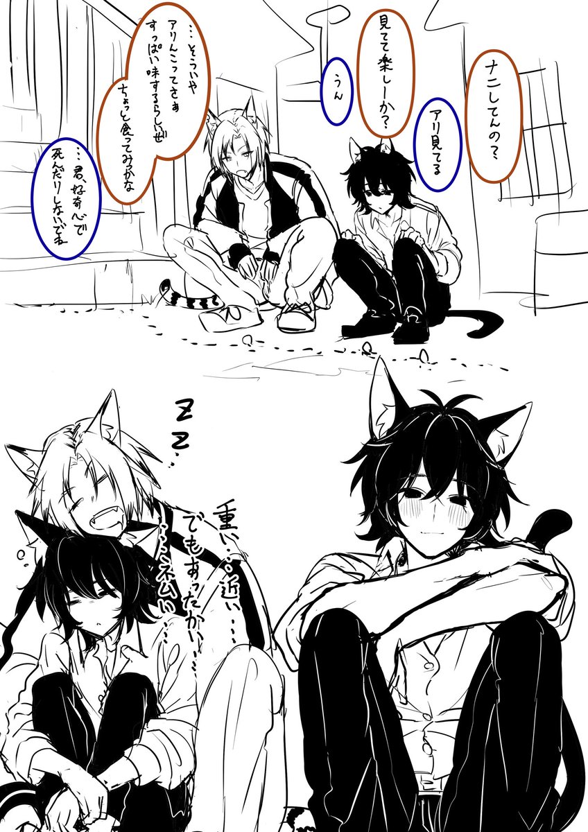 黒い猫とキジ猫… 