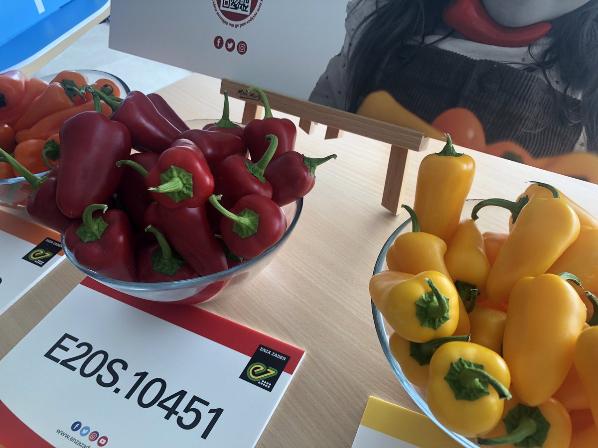 <a href="/tribellisweet/">Tribelli</a> mini ya está disponible en <a href="/alcampo/">Alcampo</a> ‘Estamos colaborando con Carlos Ríos y el producto está gustando mucho en el mundo <a href="/realfooding_/">realfooding</a> Es como el nuevo edamame’ #HouseFair21 #CreandoValorJuntos <a href="/ExperienciasEZ/">Enza Zaden</a> <a href="/enzazaden/">Enza Zaden</a>