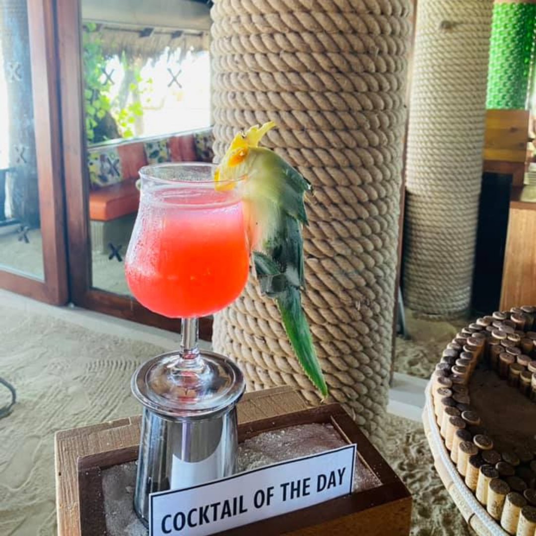 constancehotels's tweet photo. Dive back into your #ConstanceMoofushi vacation with the Macaw cocktail๐น
๐น40ml Bombay Sapphire gin
๐น20ml Elderflower liqueur
๐น10ml Passion fruit puree
๐น40ml Fresh grapefruit juice
๐น10ml Simple syrup
๐น30ml Aperol
Shake all ingredients in a shaker ๐
#ConstanceWithU https://t.co/43pBSgaWBb