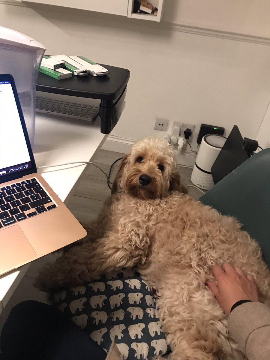 Daria Danilina tweet media