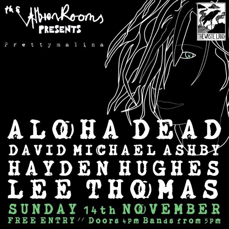 aloha_dead's tweet photo. Can’t wait for this; such a fantastic lineup 💚 Join us in Margate this Sunday, from 5pm - and please, if you’re looking for reasons to go - check out all of our lovely video links over on Instagram #albionroomsmargate #alohadeadlive #haydenhvghes #leethomas #davidmichaelashby https://t.co/EQYOYiZFdo