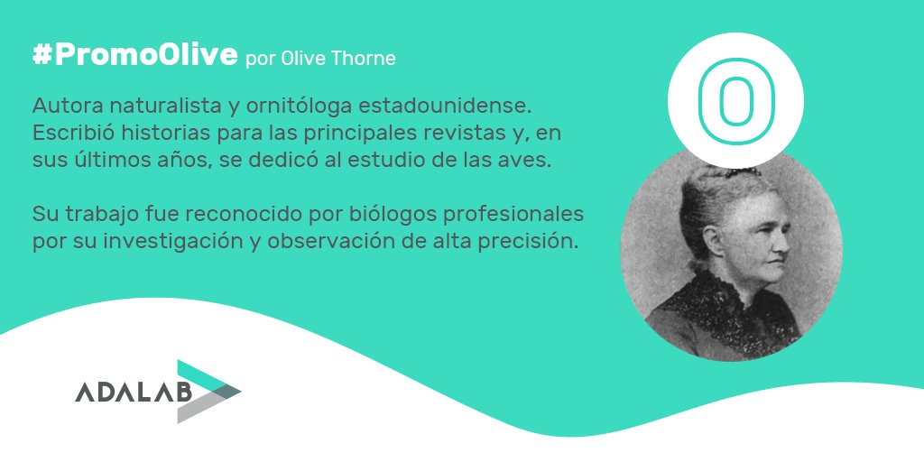 Adalab_Digital's tweet photo. π’ Nombre: #PromoOlive por Olive Thorne.
βͺ Info: https://t.co/JCqReumseC https://t.co/CnObsdOKgE