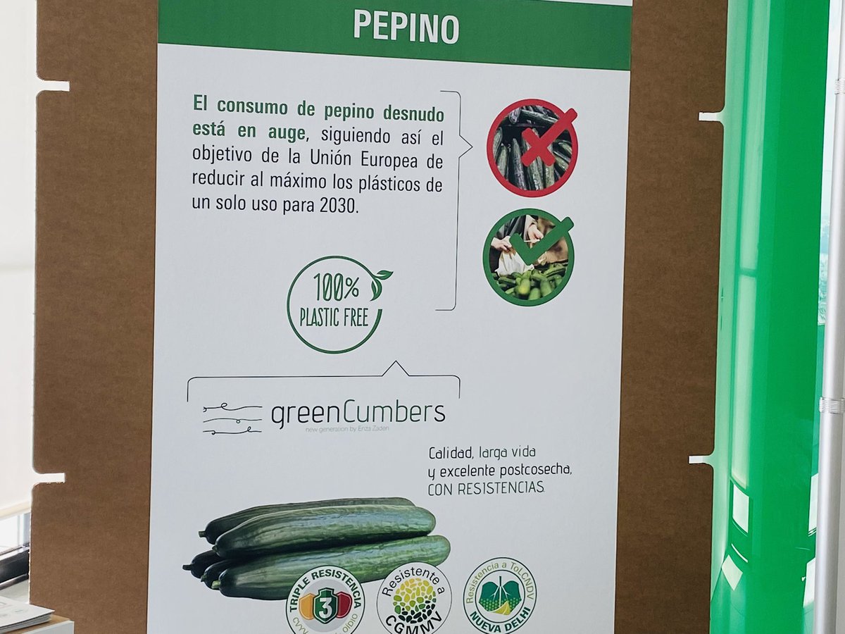 RevistaMercados's tweet photo. 🥒🥒 En #pepino, @ExperienciasEZ se alinea también con todas las demandas de la cadena: 

✅ #Greencumber, gran vida útil en condiciones de fruto desnudo, cuya demanda ⬆️ en #Alemania.
✅ #Easyqs, los minis van al alza y su consumo aumenta. 

#CreandoValorJuntos #HouseFair21 https://t.co/6yKXDZTozI