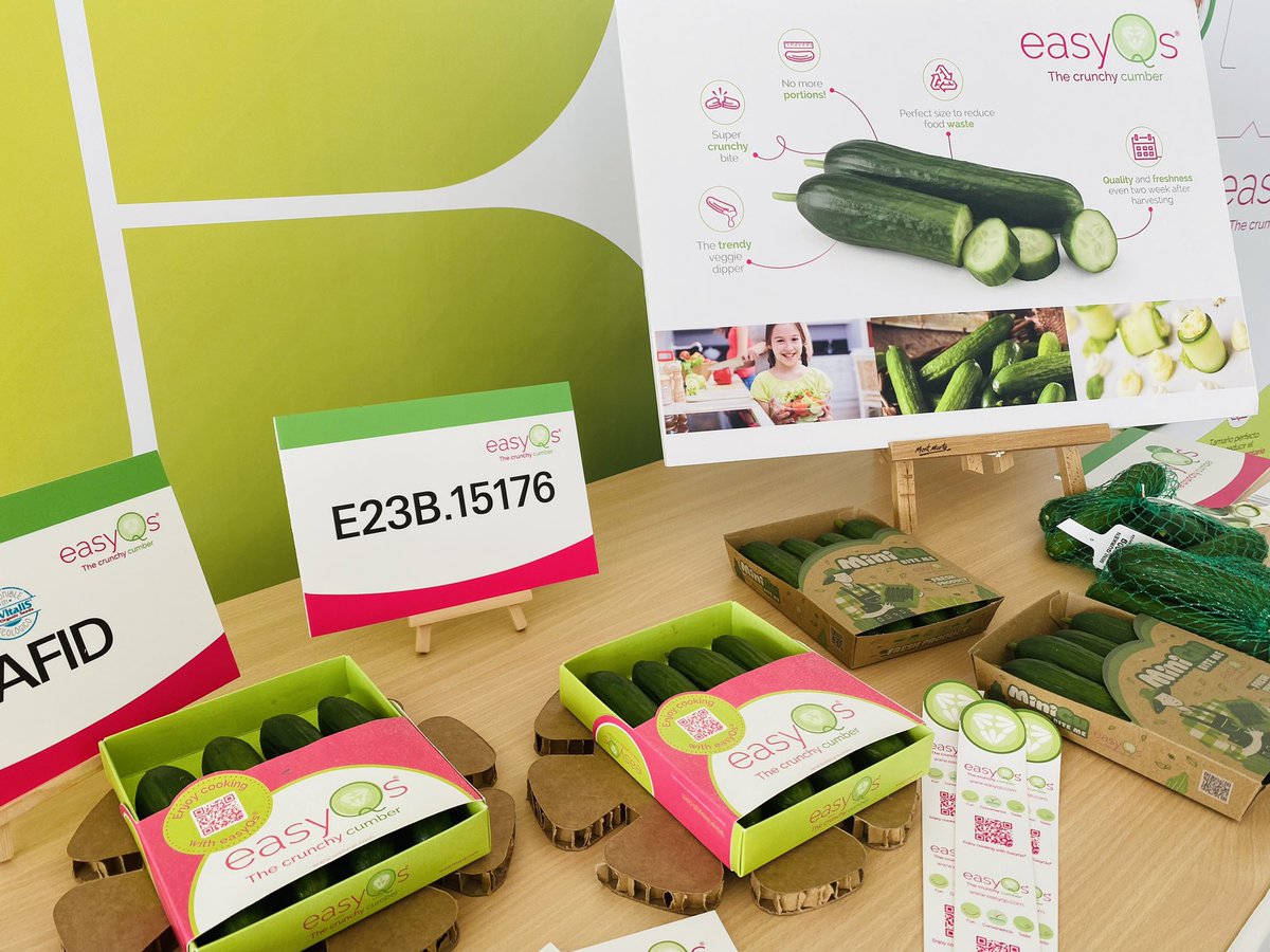 RevistaMercados's tweet photo. 🥒🥒 En #pepino, @ExperienciasEZ se alinea también con todas las demandas de la cadena: 

✅ #Greencumber, gran vida útil en condiciones de fruto desnudo, cuya demanda ⬆️ en #Alemania.
✅ #Easyqs, los minis van al alza y su consumo aumenta. 

#CreandoValorJuntos #HouseFair21 https://t.co/6yKXDZTozI