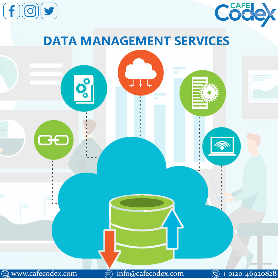 cafe_codex's tweet photo. Cafe Codex Company provides Data Management Software Services to various small and big organizations. 
�� Call: 0120-46920828
#cafecodex #datamanagementsoftwareservices #DataManagementServices #bestdatamanagementsoftware #datamanagementsoftwarecompany https://t.co/gL9lCWVoYr