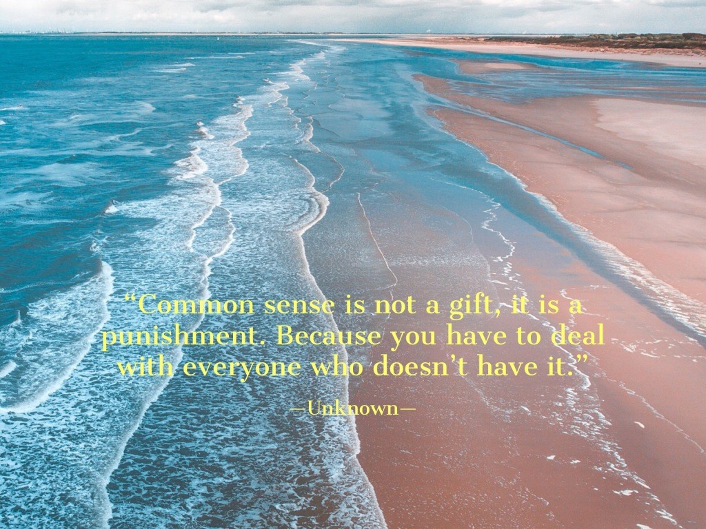 GunhildManageme's tweet photo. "Common sense is not a gift, it is a punishment. Because you have to deal with everyone who doesn't have it" - Unknown -
#commonsense #Fridaymotivation #quotation #inspiration #proverb #FridayFun https://t.co/mJlGzTOdJ1
