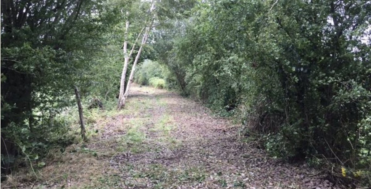 No update on transfer of railway asset. 

What do you think?

👉 bit.ly/3ku7uvc