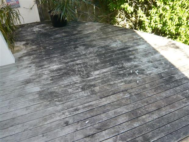 GorahDecking tweet media