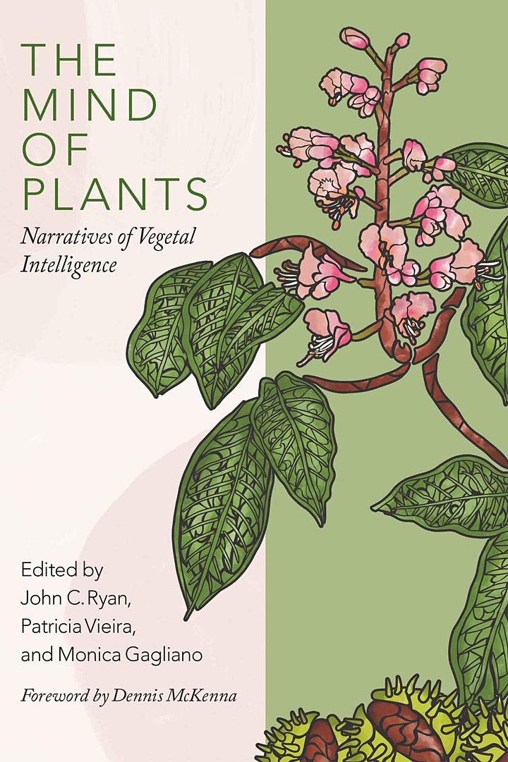 PlantHums_UK's tweet photo. New book from John C Ryan, Patricia Vieira &amp; @Monica_Gagliano: THE MIND OF #PLANTS Order here: https://t.co/70SoZSuoC4 Webinar 15/12 @9h GMT: https://t.co/WwttfTvEpU @SynergeticPress @RHGeoHumanities @KewScience @Kew_LAA @hissista #PlantThinking #multispecies #PlantSentience https://t.co/s8wHl7gm5T
