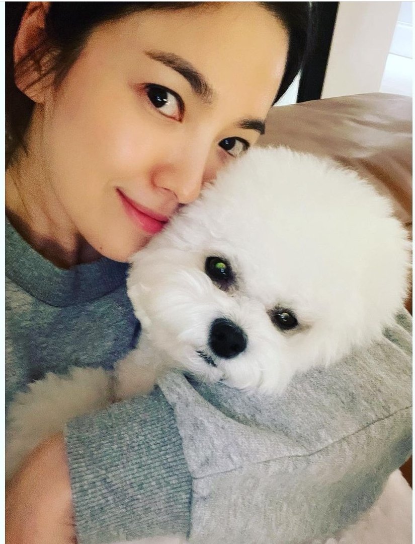 nmdarhwang's tweet photo. NOW SONG HYE KYO IS BACK

#NowWeAreBreakingUpEp1 

Baby RUBY SO CUTE https://t.co/29DqVGXjmg