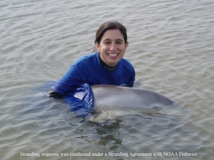 Hubbs_MMRR's tweet photo. We are heartbroken to hear about the loss of Winter. Our thoughts are with @CMAquarium &amp; her animal care team. Winter inspired many all over the world &amp; brought awareness to dolphin conservation. We are beyond grateful to be a part of her story. @SeaWorld @MyFWC @HarborBranch https://t.co/H4JKZ53WqF