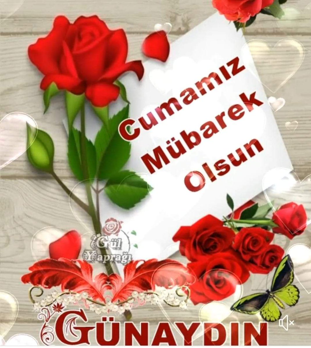 Sultan95003303's tweet photo. @Trc651 https://t.co/Uxmye5zdUk