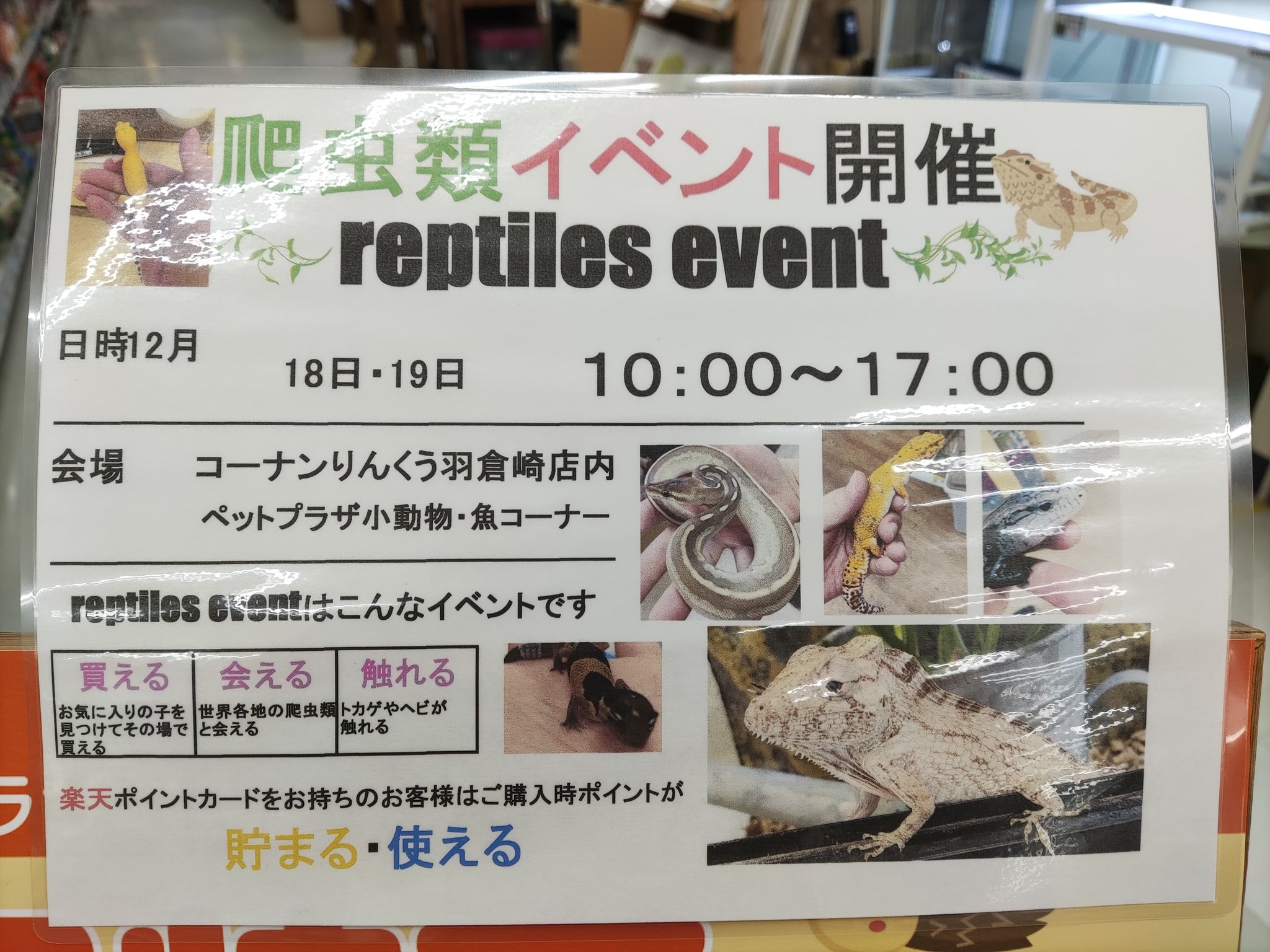 ペットプラザりんくう羽倉崎店 Pet Rinku Twitter