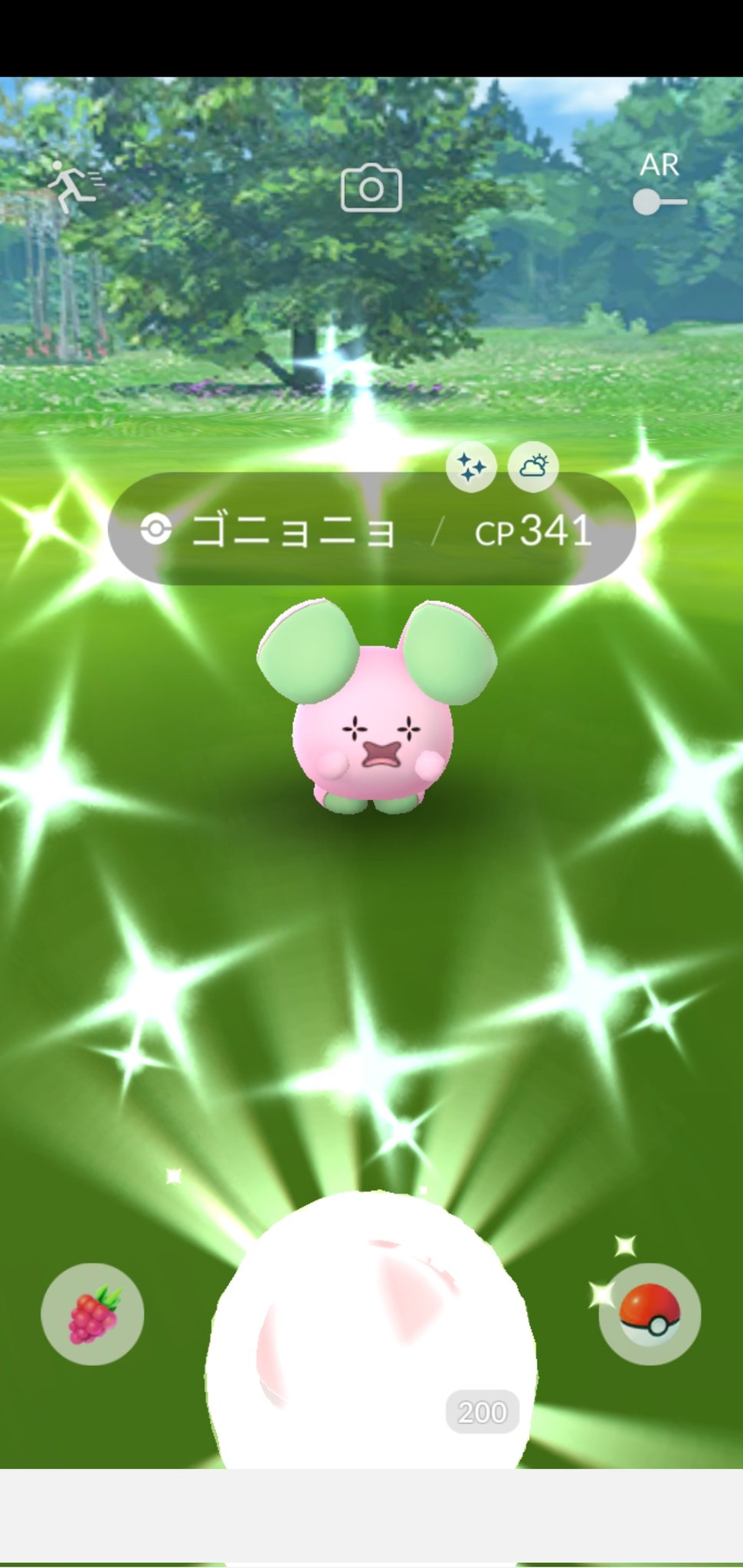 Amazinghisa 今日のポケモンgo活動1 ゴニョニョが光った ﾉ 朝活にてコバルオンレイド ロケット団下っぱ撃破したら シャドウノクタスを救出 ポケモンgo ゴニョニョ 色違い コバルオン ノクタス T Co Pry9dgaglo Twitter