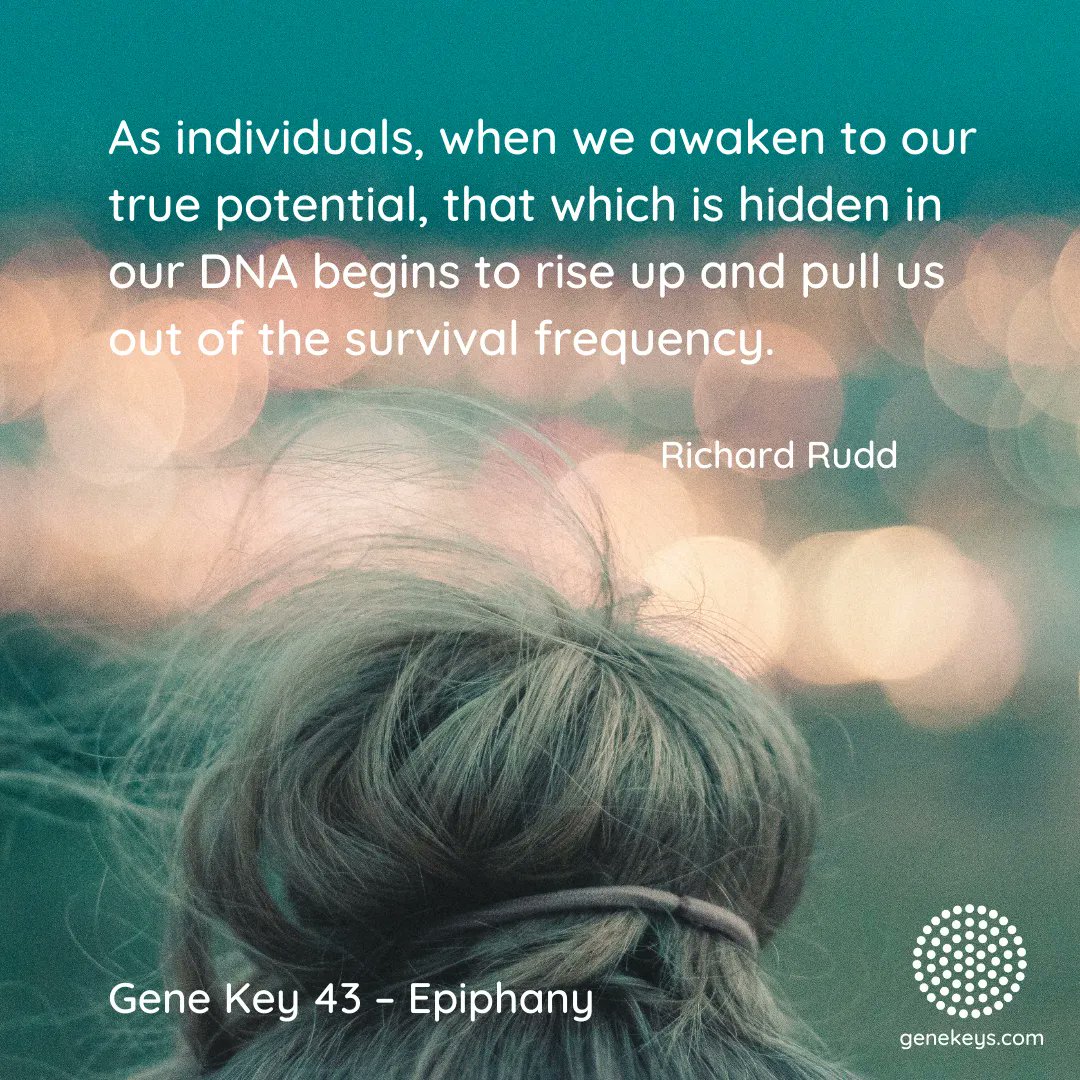 gene_keys's tweet photo. The Pulse – 11 Nov to 16 Nov – The 43rd Gene Key moves from the Shadow of Deafness to the Siddhi of Epiphany and it is the Way of Insight 

For more about the Gene Keys visit and subscribe to The Pulse at https://t.co/Dviu0apuuY

#genekey #genekey43 #epiphany #insight https://t.co/LWy4qOF1uE