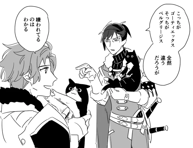 猫違いだった… 