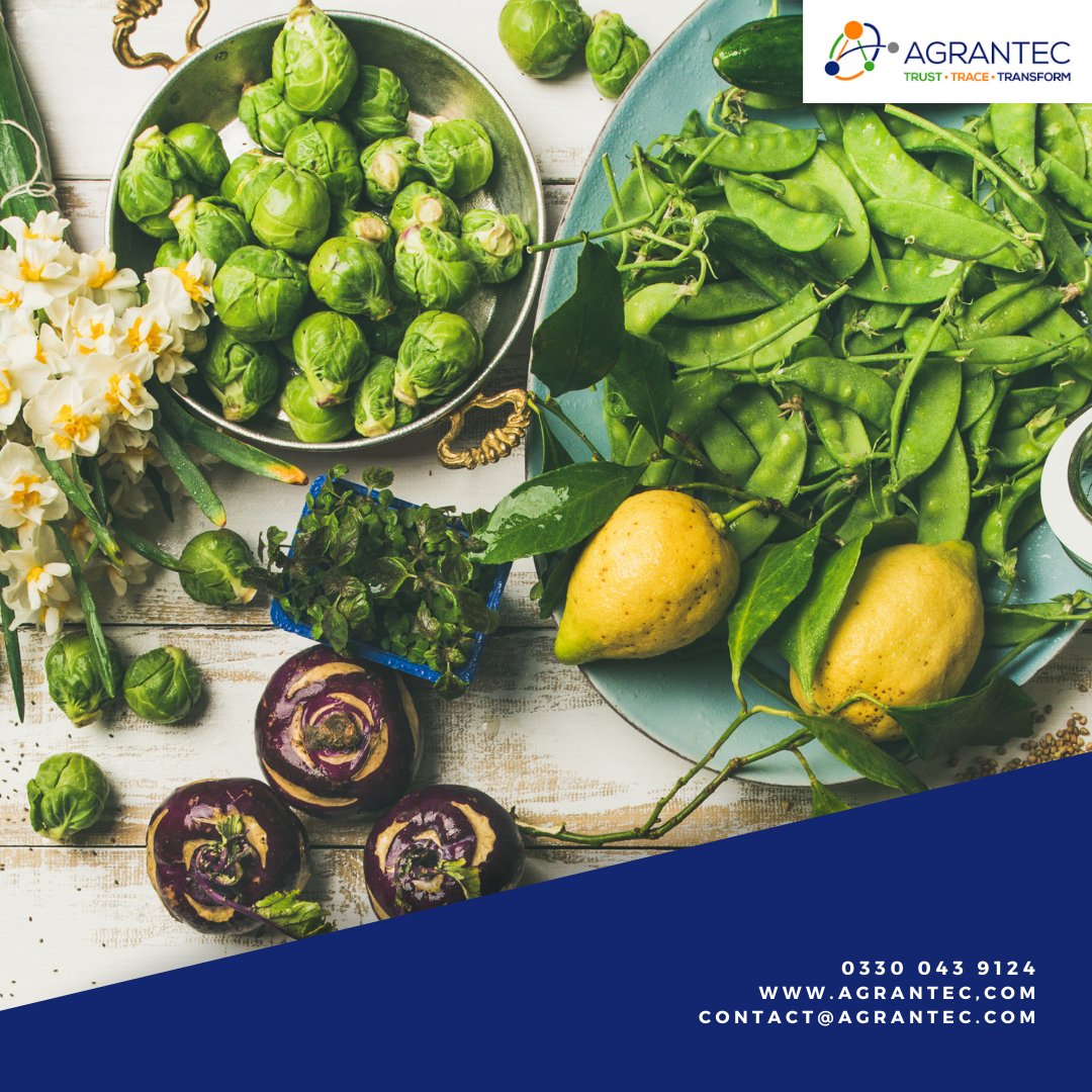Agrantec's tweet photo. It’s Vegan month! Everyone has their own reasons for being vegan, whether it be for ethical, health or sustainability. Even if you’re not vegan, show support for vegan month by cooking some vegan meals for supper – you might even surprise yourself!

https://t.co/jBP5xU7UxO https://t.co/W61TekaCuL