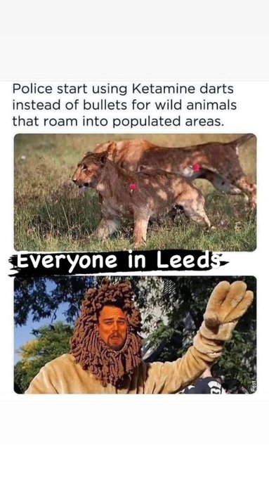 You&rsquo;re not horses #leeds #yorkshire #Yorkshirecricket https://t.co/eowX2psaAE<a href="/tag/leeds"class="tags">#leeds</a><a href="/tag/yorkshire"class="tags">#yorkshire</a><a href="/tag/yorkshirecricket"class="tags">#Yorkshirecricket</a>