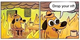 niniostella's tweet photo. Twitter right now https://t.co/DAANi21kYC