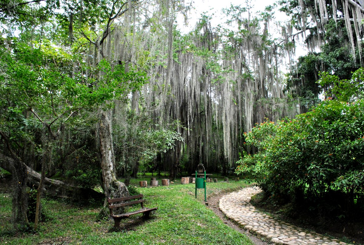 Cultural Worlds tweet media