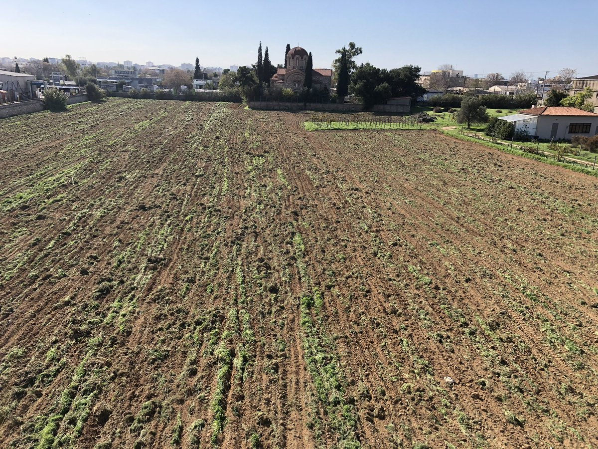 vitislab's tweet photo. First steps of the re-planting of the historical Ampelographic Collection with its precious indigenous cultivars! An ambitious project as well as a necessity for educational, cultural, aesthetic and scientific reasons! https://t.co/TngTkYMG6u